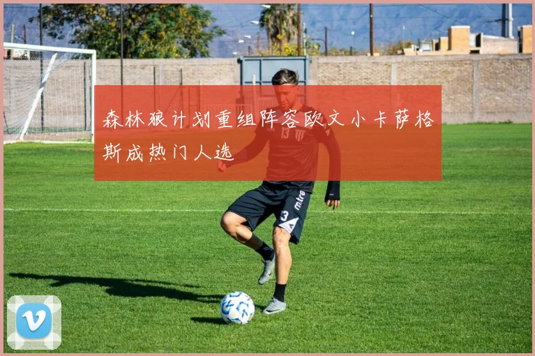 森林狼计划重组阵容欧文小卡萨格斯成热门人选