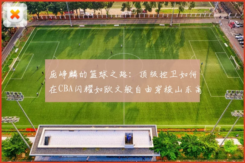 庞峥麟的篮球之路：顶级控卫如何在CBA闪耀如欧文般自由穿梭山东高速